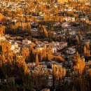 혜인산부인과의원 | 거제정신건강의학과의원 위치와 진료정보는?