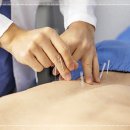 자연식단 이미지