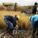 미원6리 이미지