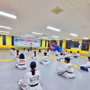 준태권도 | [미르메, 제주에 가다!] 제주 #준태권도 초청, 품새/익스트림태권도 세미나