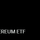 이더 etf 승인? 이미지