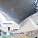 2023 Green Life Show 그린라이프쇼 후기+아로마테라피 힐링체험