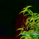 미현농장 이미지