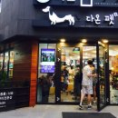 다온애견미용 이미지