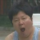 돼지여행