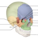 공간의움직임 이미지