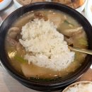 밥집 | 신중동 24시 식당 신주옥미 순대국과 해장국이 맛있는 밥집 후기