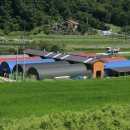 홍원바이오아그로 이미지