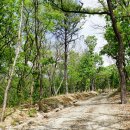 용암천2 이미지