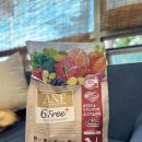댕댕아 이리온 | ANF 6FREE+ 안전한 사료 추천! ANF 식스프리플러스 인도어 독 소고기&amp;연어