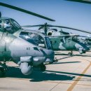 시간여행자 이미지