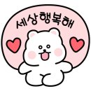 제주 곱딱