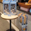 분당서현1-D-2 이미지