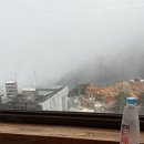 대만여행 2일차 음식점 후기|진천미 디화제찻집 대도정마두 굴전