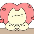 다수리모터스 네이버블로그