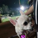 마들스타디움 이미지