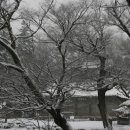 삼천배 이미지