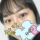 동탄역속눈썹펌 노글루 수분펌 대만족 후기, 동탄역속눈썹 - 쉐젤르바이민 브로우스튜디오