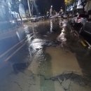 사하구 다산로 이미지