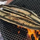 드림벨리 이미지