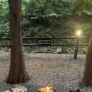 스테이 다연 이미지