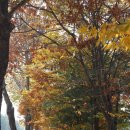 일일오커피 이미지