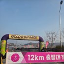 금산-12 | 금산인삼마라톤 12km 참가 후기
