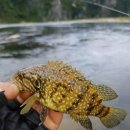 단양농협주유소 이미지