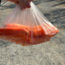 조리농업협동조합 | 광주 근교 신상 담양 글램핑장 추천 내돈내산 찐추천 후기 <포레스트 창평>