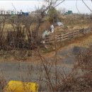 구암동221 이미지