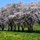 연한우목장 이미지