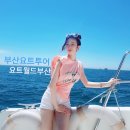 (주)단솔플러스 | 부산가볼만한곳: 부산요트투어 해운대요트 인생샷 찍었어요!