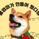 뛰어놀개 애견펜션 이미지