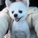 마이몽드 이미지