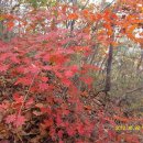 신평고등학교 이미지