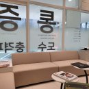 제애정형외과의원 티스토리