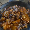 탱글이 문어 이미지