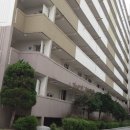 솔모루로 이미지