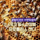 한들유통 | 감기 캔디, 기침캔디, 아이와 같이 먹어도 되는 코스트코 프로폴리스캔디 후기