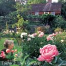 타샤의정원 이미지