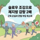 슬로우 조깅으로 효과적인 체중감량 하세요 이미지