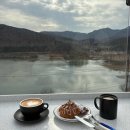 서울남양주 동물약국 이미지