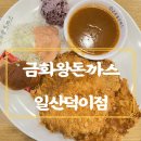 일산 돈까스 맛집 &lt;금화왕돈까스 일산덕이점&gt; 내돈내산 솔직후기
