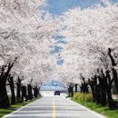 용평사거리 이미지