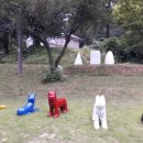 다섯마리 하우스 이미지