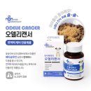 프롬닥터 이미지