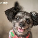 토리프로젝트 이미지