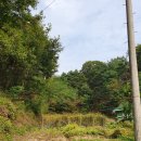 영주땅공인중개사사무소 이미지