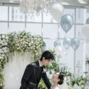 트라디노이