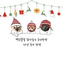 메디앤코 | [후기] 12th 궁디팡팡 캣페스타 집사들의 사냥 팡팡 1관!